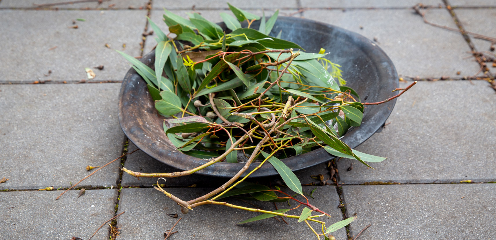 Images of gum leaves smoking in a bowl