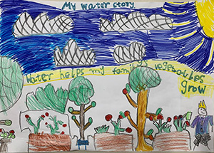 A hand drawn picture, the sun shining blue sky and trees - large text reads "water helps my family's vegetables grow".