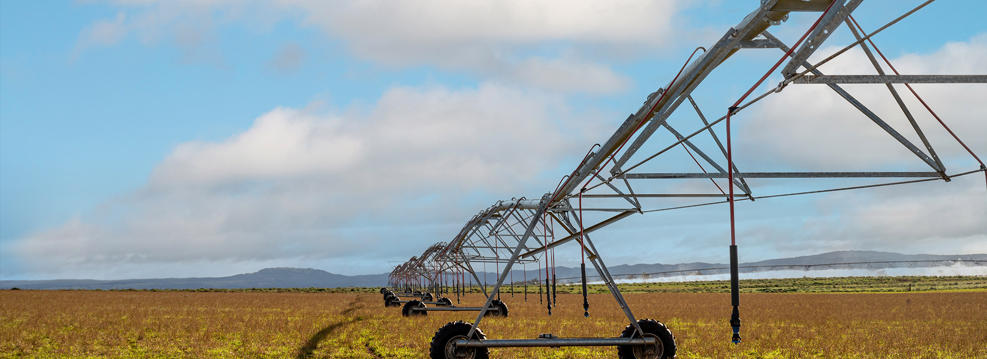 Image of a large irrigation sprinkler on wheels in a paddock