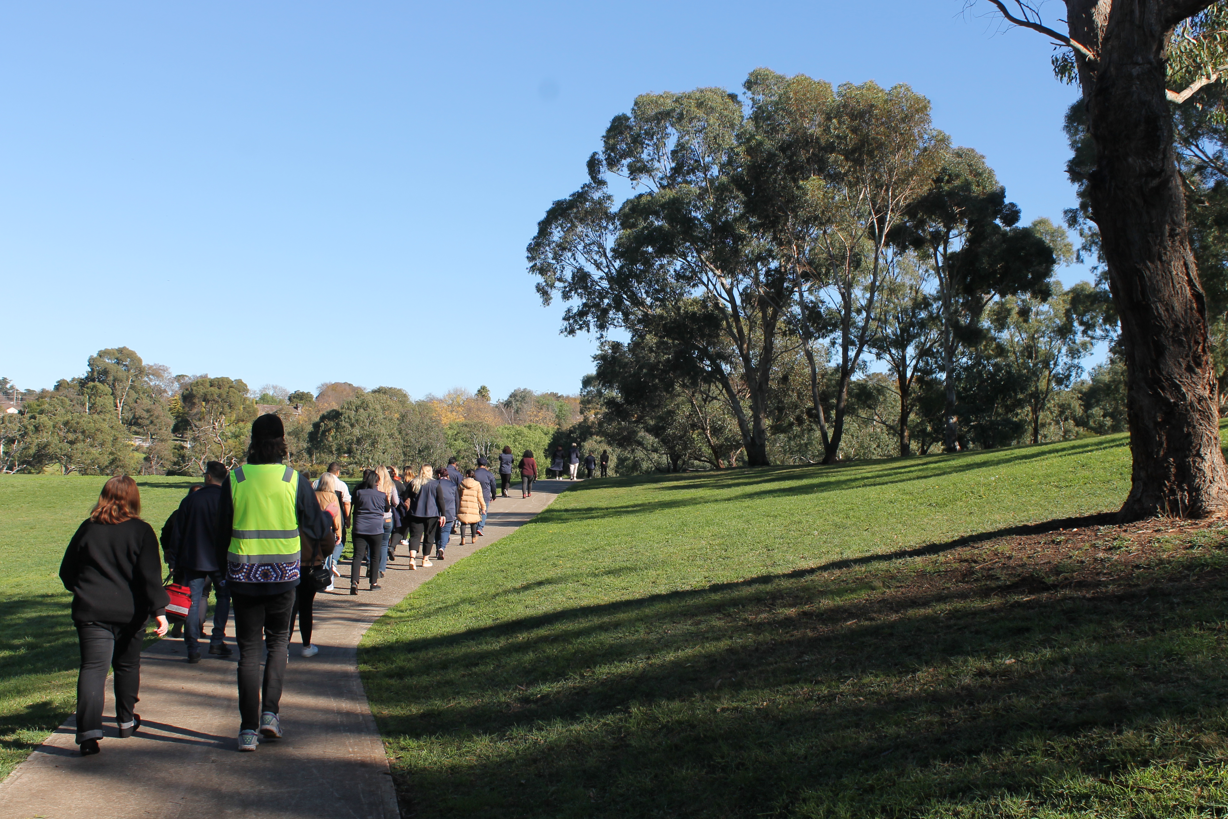 GWW staff walk in nature