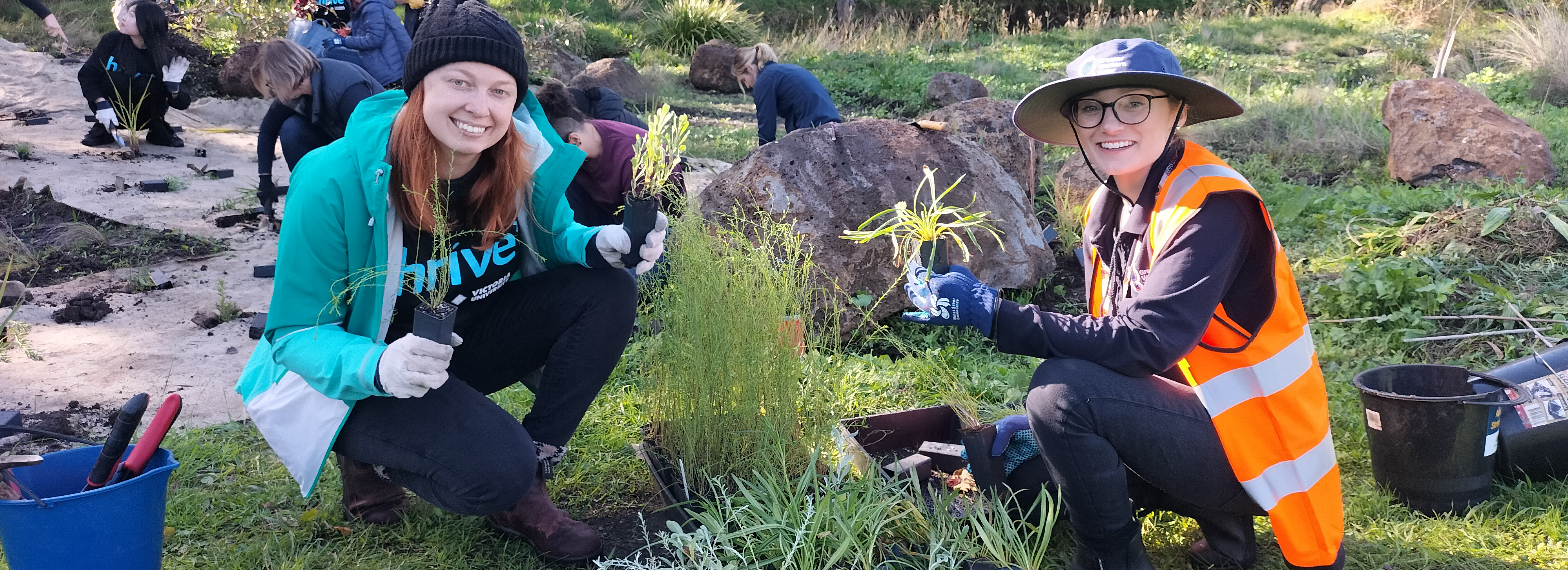 Two individuals happily participating in a tree planting event in a park, kneeling on the grass beside small plants ready for planting. One person wears a blue cap and a vest marked "Thrive," while the other is in a bright orange safety vest. Several other participants are in the background, engaging in similar activities.