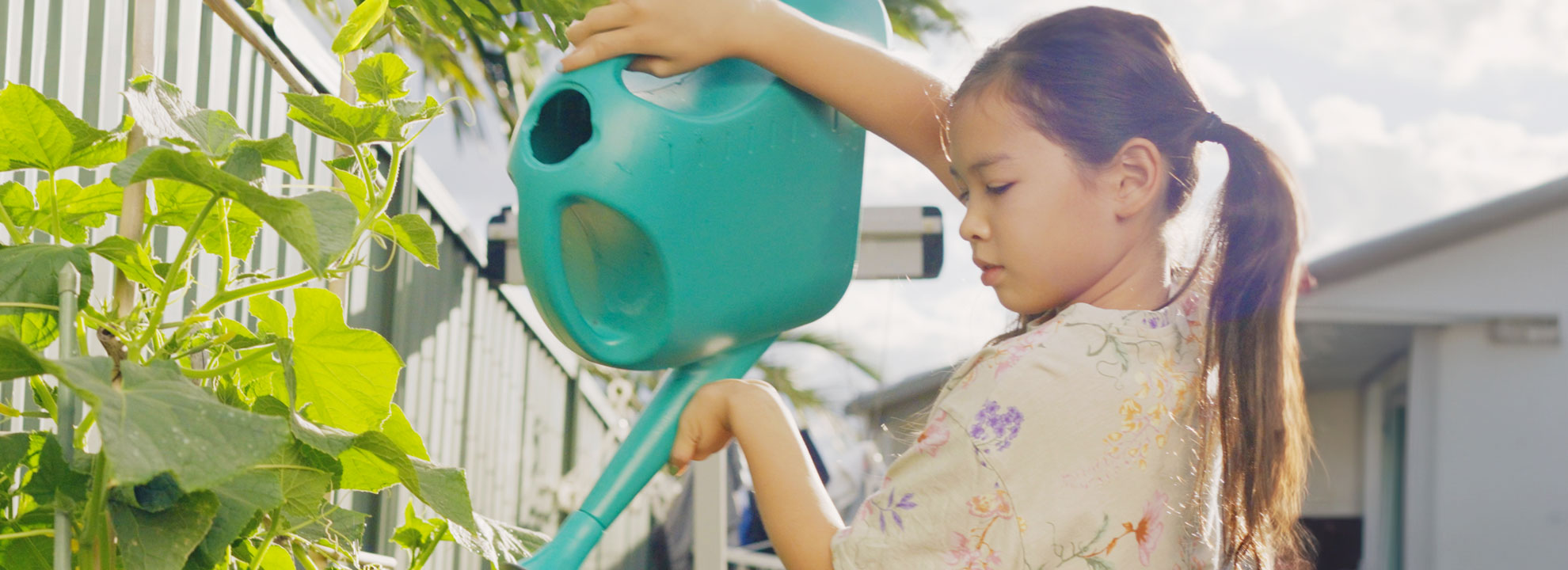 A girl about 10 years old watering her garden with a large green watering can.